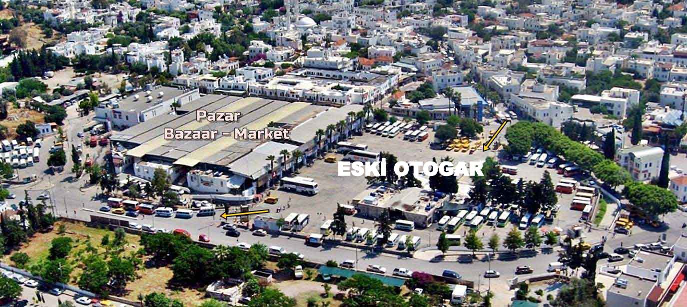 Central Bus Hub Location